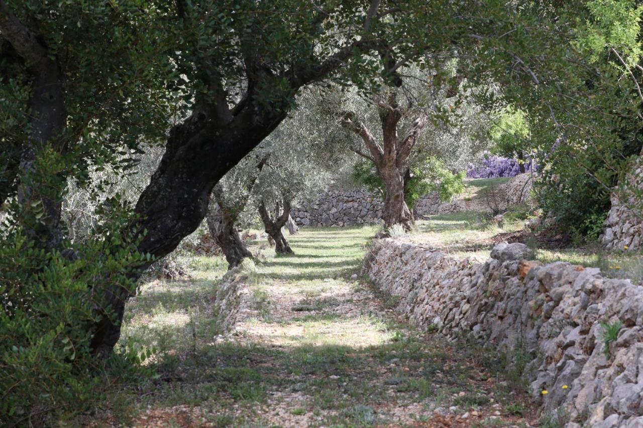 Villa Foia Vella Benigembla Esterno foto