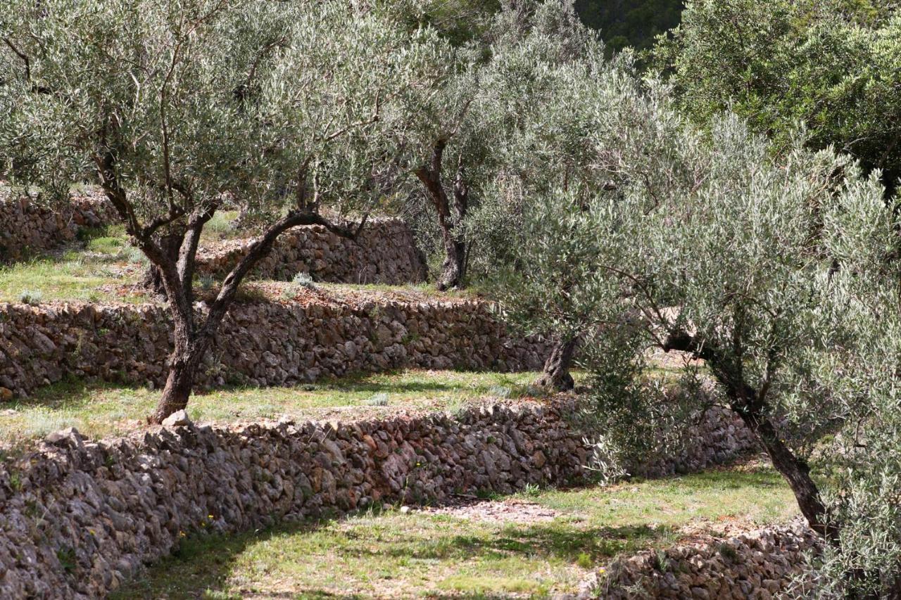 Villa Foia Vella Benigembla Esterno foto