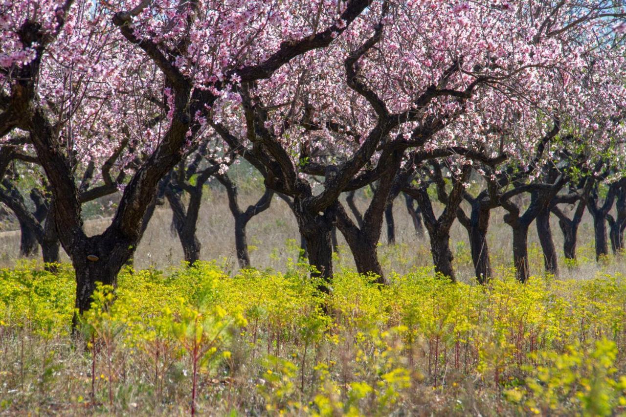 Villa Foia Vella Benigembla Esterno foto